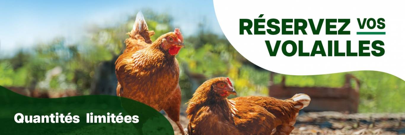 Entête Boutique Avantis BI Agricole oct-nov 2025